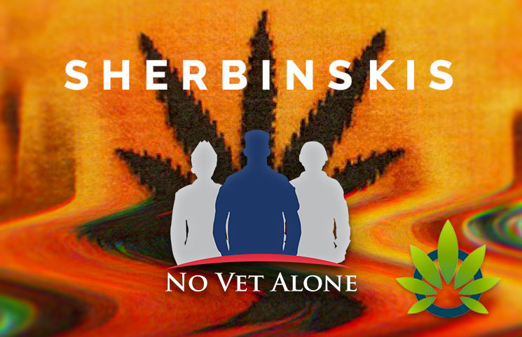 SHERBINSKIS and No Vet Alone Joins Forces to Save Lives via CBD and Cannabis Use Amidst the Opioid Sweeping