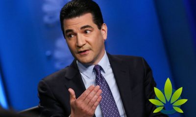 Scott Gottlieb Comments on CBD for Pets, Claims Benefits Only Come From THC's High