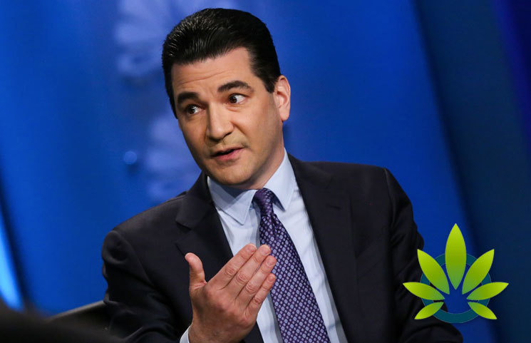 Scott Gottlieb Comments on CBD for Pets, Claims Benefits Only Come From THC's High