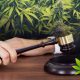 Senator-Initiates-New-Legislation-for-Federal-Research-on-Cannabis