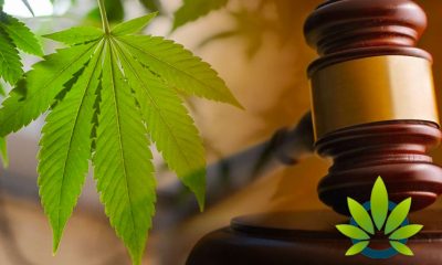 Ohio Officials Can Block Local Ballot Measures on Marijuana Per Sixth Circuit Court Rules
