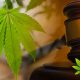 Ohio Officials Can Block Local Ballot Measures on Marijuana Per Sixth Circuit Court Rules