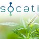 Socati Launches Two New CBD Products to Include Cannabinol (CBN) and Cannabichromene (CBC)