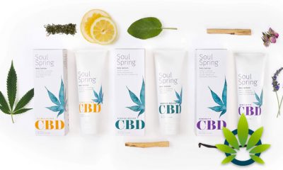 SoulSpring CBD Botanical Therapy: Body Lotions, Creams, Rubs and Bath Bomb Soaks