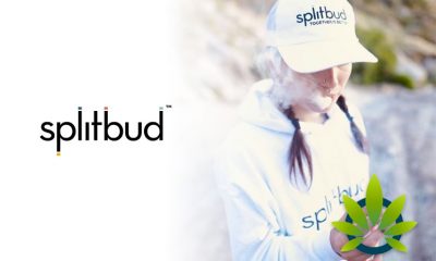 Splitbud Officially Makes an Entrance into the Marijuana Space to Fight Inaccessible Cannabis in the US