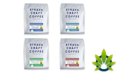 strava craft coffee cbd oil infused coffees