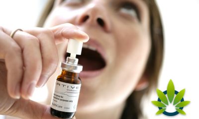 Study Suggests Cannabis Addiction Could Have a Remedy with CBD Spray: Does It Help?