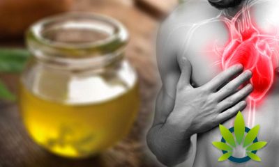 Synthetic “CBD” Liquid Causes Student to Experience “Heart Pounding” Side Effect