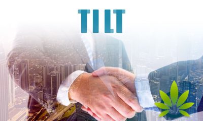 TILT Partners with CMW Media in a Bid to Boost CBD Brand Recognition