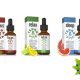 TerraVita-Launches-CBD-Oil-Tinctures-Relax-Focus-and-Sleep-Along-with-Pet-Spray-Products