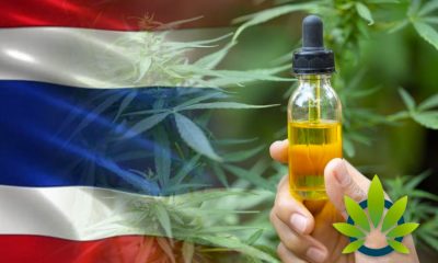 Thailand Is Preparing to Deliver 10,000 Bottles of Newly Made Cannabis Oil to Qualified Patients