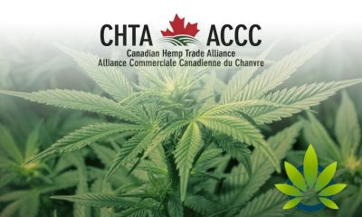Canadian Hemp Trade Alliance (CHTA) Stands by Need for Healthy Hemp Regulations from Senate