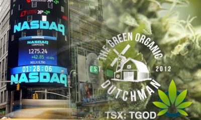 The Green Organic Dutchman (TGOD) Awaits Application Approval From NASDAQ