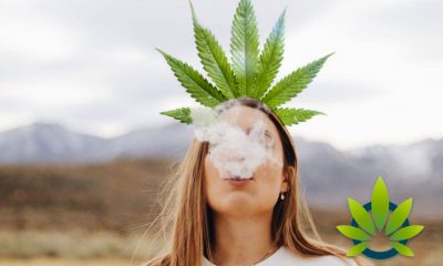 The Impact of Cannabis Legalization as the Marijuana Prohibition Set to End