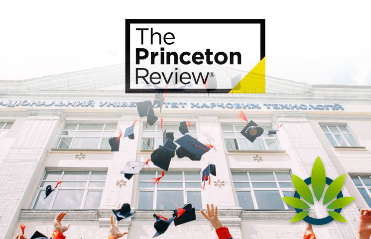 The Princeton Review Ranks Colleges Based on Highest and Lowest Cannabis Use