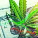 The Uncertainty of the Cannabis Regulation Implies Being A Conservative Investor