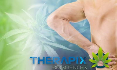 Therapix Announces Product License for CannAmide, a Non-Opiate Pain Relief