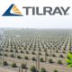 Tilray (TLRY) Pushes to Expand Internationally by Renting Space for Outdoor Cultivation in Portugal
