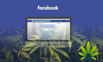 Top 6 Cannabis Facebook Fan Pages All Marijuana Advocates Should Follow
