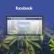 Top 6 Cannabis Facebook Fan Pages All Marijuana Advocates Should Follow