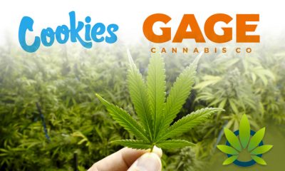Top-Selling Marijuana Brand, Cookies, Partners with Gage Cannabis for Expansion Purposes