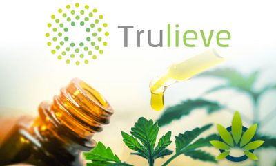 Trulieve Performing Well in CBD Space as Cannabis Corp Sees Revenue of Nearly $58 Million in Q2