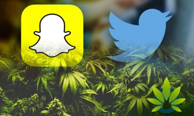 Cannabis Advertisements on Twitter and Snapchat Risk Government Crackdown via Health Canada