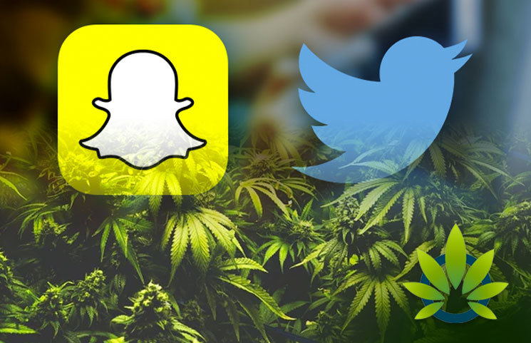 Cannabis Advertisements on Twitter and Snapchat Risk Government Crackdown via Health Canada