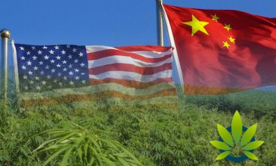 U.S. Hemp Industry Should Not Be Affected by Chinese Tariffs Per Economist and Trade Experts