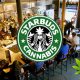 Sheffield, UK Officially Welcomes Cannabis-Centric Café, ‘Starbuds’, Featuring CBD Pasta
