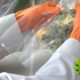 USDA Nationwide THC Testing Standard Faces Difficultly to Determine Hemp from Marijuana