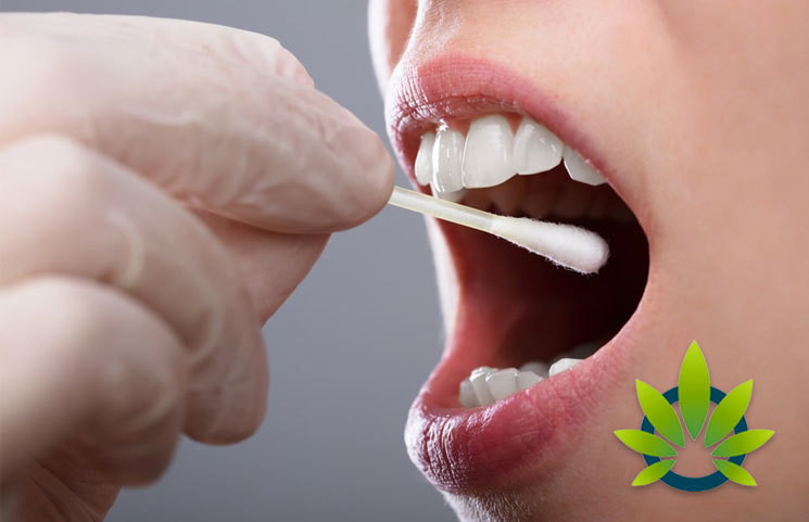 Understanding THC Presence and its Ability to Be Detected in the Mouth
