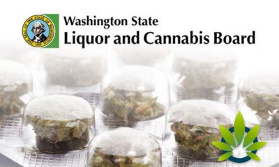 WSLCB Files Petitions to Revise Marijuana Packaging and Labeling Rules