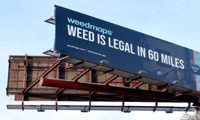 Weedmaps-Adopts-New-Advertising-Policy