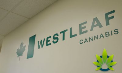 Westleaf Moves Upstream into the Cannabis Extraction Business with Xabis Deal
