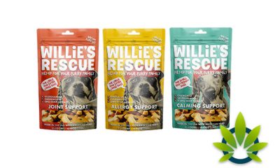 Willie-Nelson-Introduces-Willies-Rescue-a-Hemp-Line-for-Companion-Animals