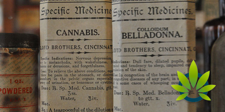 cannabis in 20 century