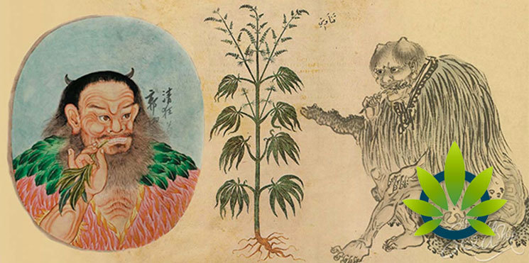 hemp and cannabis in china
