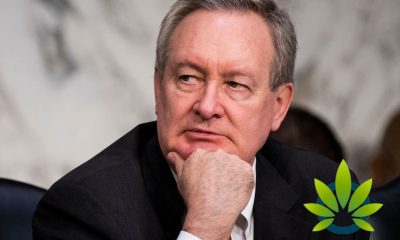 Senator Crapo Plays His Part in Pushing for More Banking Services to Cannabis Businesses