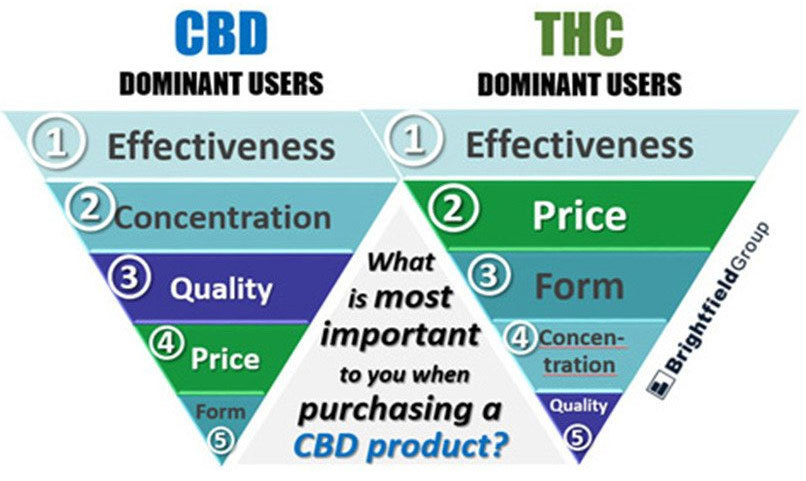 what-cbd-oil-users-value-the-most-research