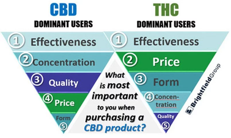 30 loại dầu CBD được xếp hạng cao nhất ở Mỹ 2 what-cbd-oil-users-value-the-most-research