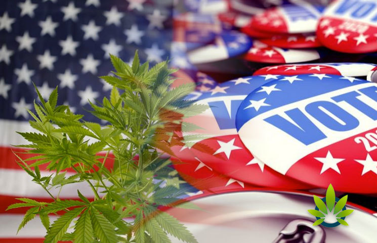 2020-Elections-and-Cannabis