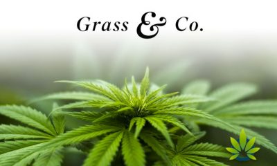 847K-Pound-Investment-Secured-by-Grass-and-Co