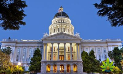 A Look at the Legislative List of Outstanding Cannabis Bills in California