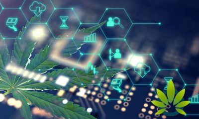 ALTA Added to FinTech Sandbox by Arizona AG Office for Cannabis Banking via 'Stablecoin' Payments