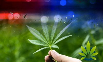 Alabama Authorities Believe Marijuana Hasn't Been Validated as Medicine
