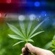 Alabama Authorities Believe Marijuana Hasn't Been Validated as Medicine