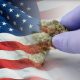 American Society of Cannabis Medicine (ASCM) to Get Involved in Industry Policies