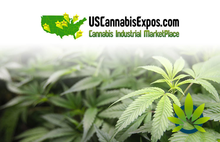 Cannabis Chicago 2019 Expo is the Largest Marijuana Business Expo in the Midwest