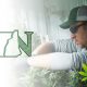 New CBD & Greenhouse Cash Crop Certificate Offered by Vermont Technical College